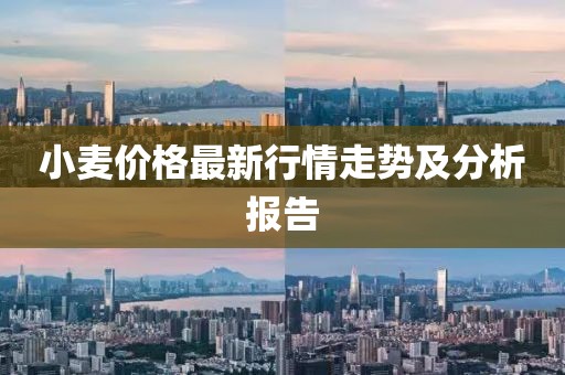 小麦价格最新行情走势及分析报告
