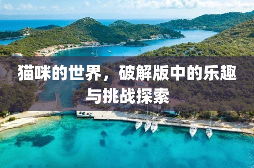 猫咪的世界，破解版中的乐趣与挑战探索