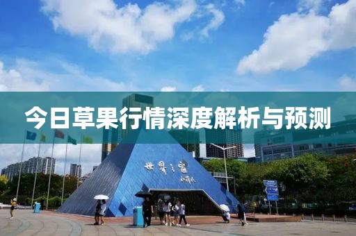 今日草果行情深度解析与预测
