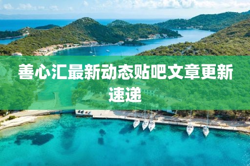 善心汇最新动态贴吧文章更新速递