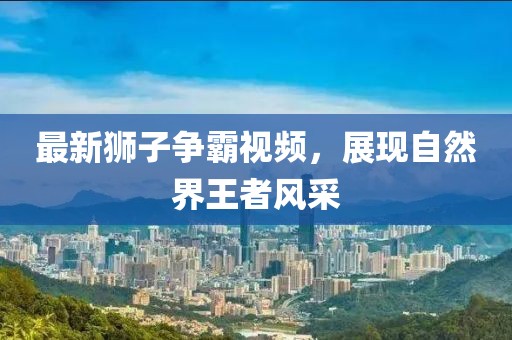 最新狮子争霸视频，展现自然界王者风采