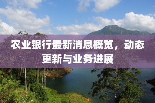 农业银行最新消息概览，动态更新与业务进展