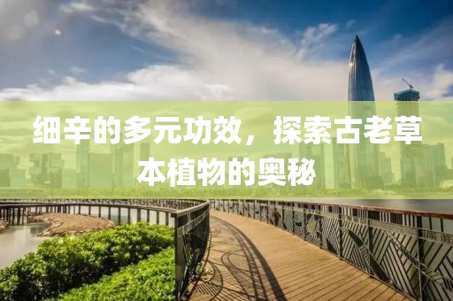 细辛的多元功效，探索古老草本植物的奥秘
