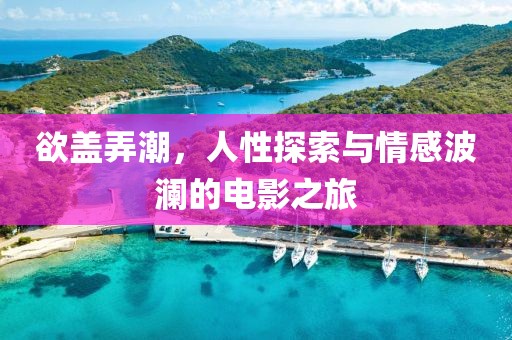 欲盖弄潮，人性探索与情感波澜的电影之旅
