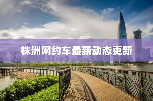 株洲网约车最新动态更新