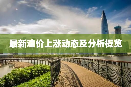 最新油价上涨动态及分析概览
