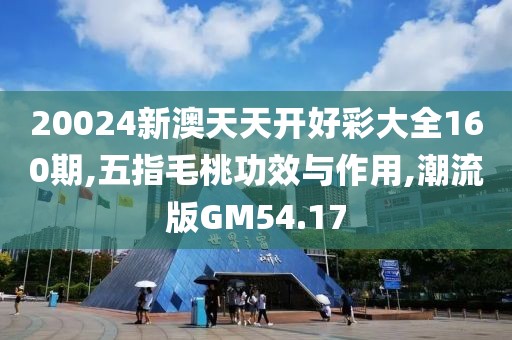 20024新澳天天开好彩大全160期,五指毛桃功效与作用,潮流版GM54.17