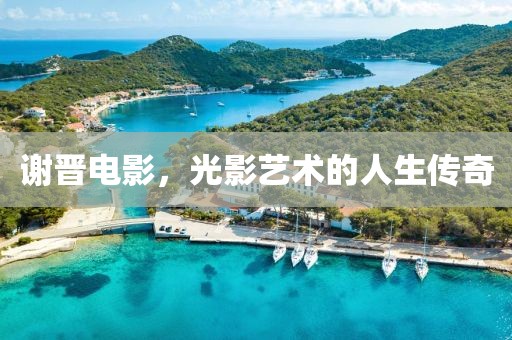 谢晋电影，光影艺术的人生传奇