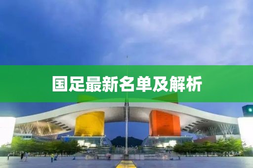 国足最新名单及解析