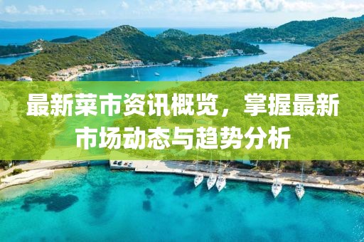 最新菜市资讯概览，掌握最新市场动态与趋势分析