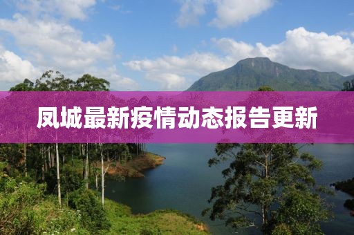凤城最新疫情动态报告更新