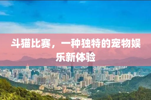 斗猫比赛，一种独特的宠物娱乐新体验