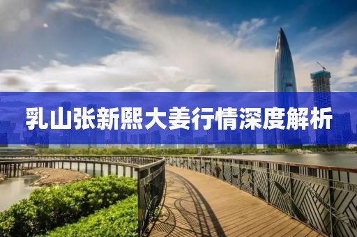 乳山张新熙大姜行情深度解析