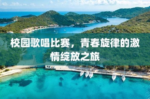 校园歌唱比赛，青春旋律的激情绽放之旅