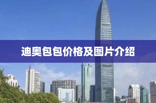 迪奥包包价格及图片介绍