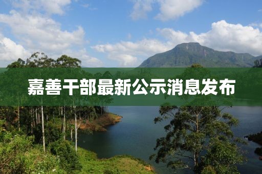 嘉善干部最新公示消息发布