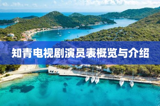 知青电视剧演员表概览与介绍