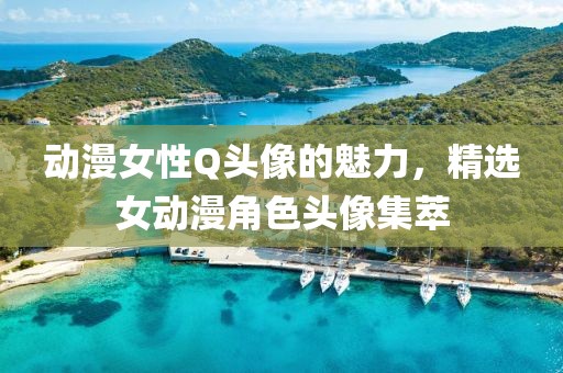 动漫女性Q头像的魅力，精选女动漫角色头像集萃