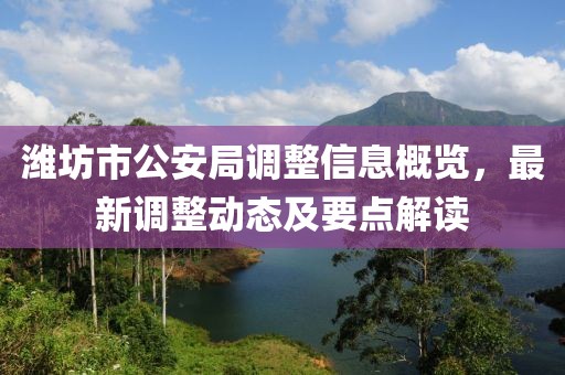潍坊市公安局调整信息概览，最新调整动态及要点解读