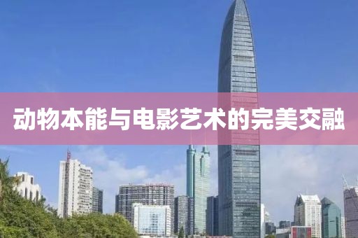 动物本能与电影艺术的完美交融
