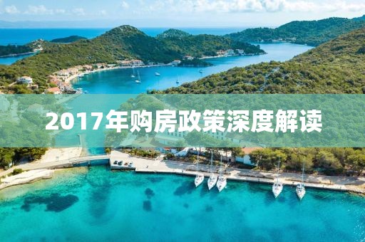 税斐 第3页
