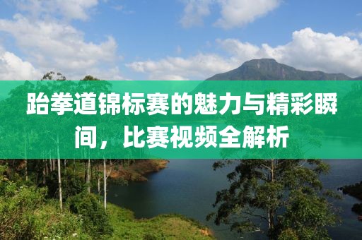 跆拳道锦标赛的魅力与精彩瞬间，比赛视频全解析