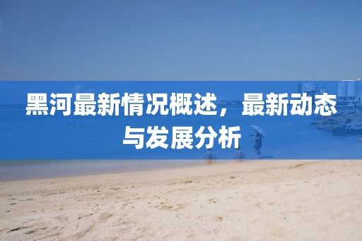 黑河最新情况概述，最新动态与发展分析