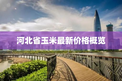 河北省玉米最新价格概览