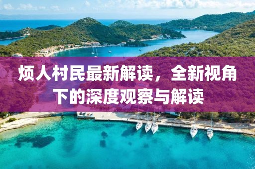 烦人村民最新解读，全新视角下的深度观察与解读