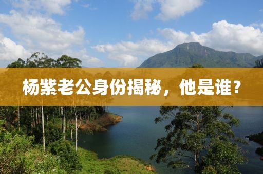 杨紫老公身份揭秘，他是谁？