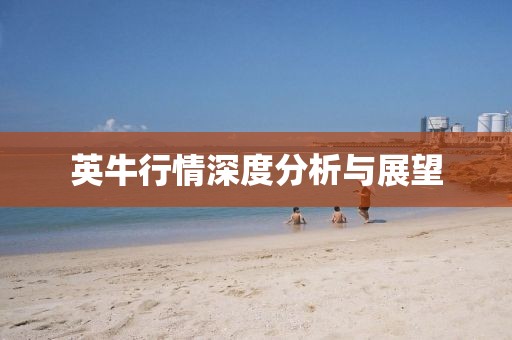 英牛行情深度分析与展望