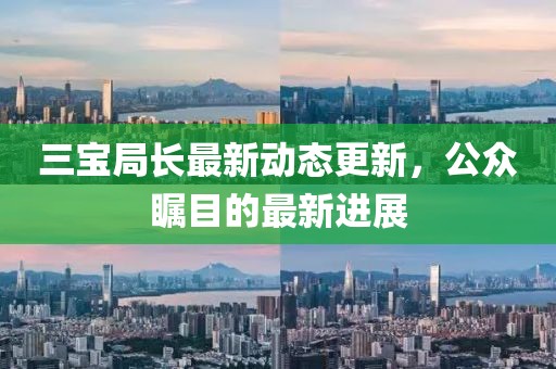 三宝局长最新动态更新，公众瞩目的最新进展