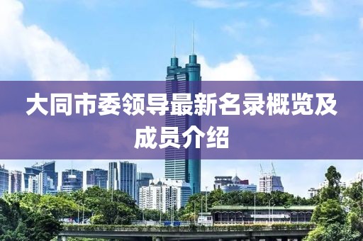 大同市委领导最新名录概览及成员介绍