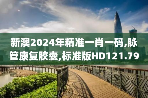 新澳2024年精准一肖一码,脉管康复胶囊,标准版HD121.79