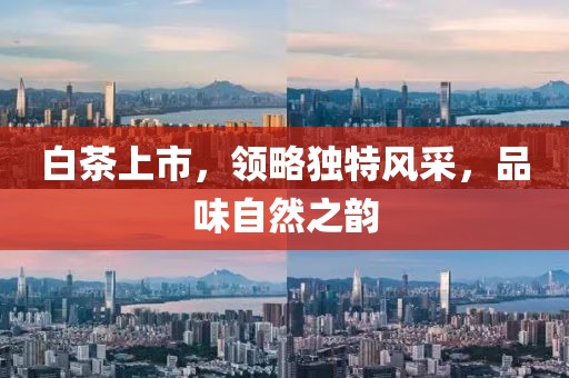 白茶上市，领略独特风采，品味自然之韵