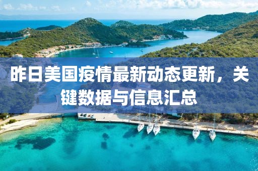 昨日美国疫情最新动态更新，关键数据与信息汇总