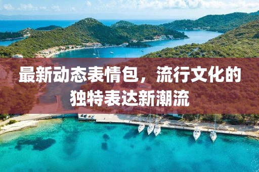 最新动态表情包，流行文化的独特表达新潮流