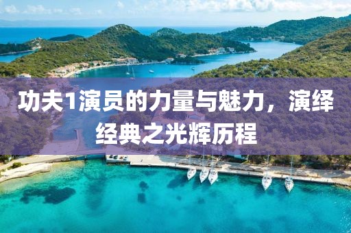 功夫1演员的力量与魅力，演绎经典之光辉历程