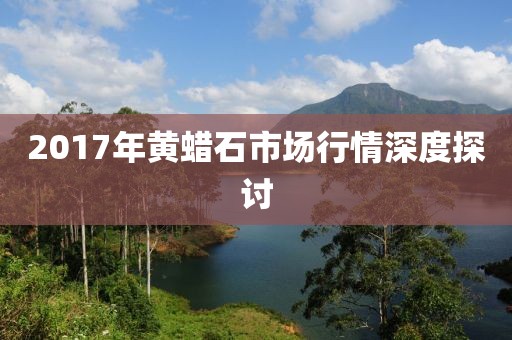 2017年黄蜡石市场行情深度探讨