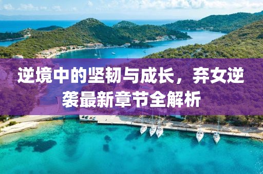 逆境中的坚韧与成长，弃女逆袭最新章节全解析