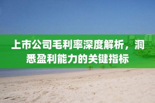 上市公司毛利率深度解析，洞悉盈利能力的关键指标