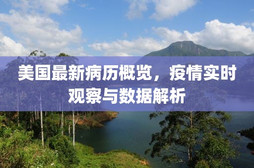 美国最新病历概览，疫情实时观察与数据解析