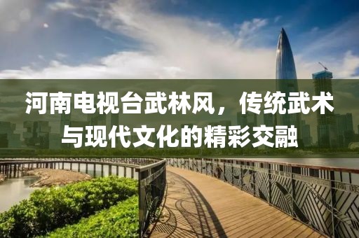 河南电视台武林风，传统武术与现代文化的精彩交融