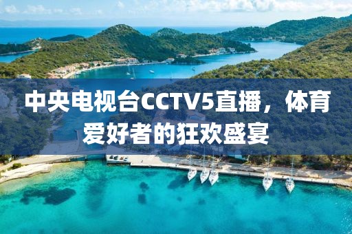 中央电视台CCTV5直播，体育爱好者的狂欢盛宴