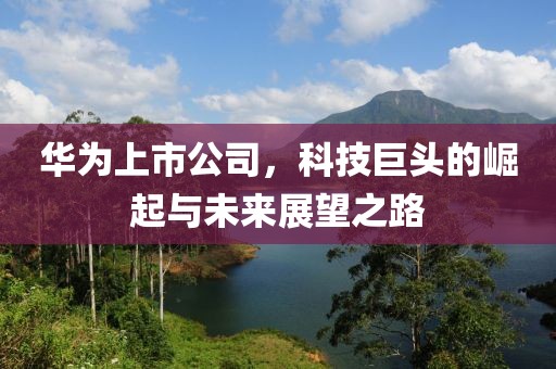 华为上市公司，科技巨头的崛起与未来展望之路