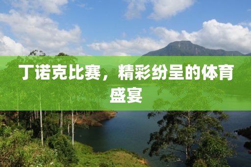 丁诺克比赛，精彩纷呈的体育盛宴