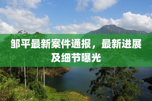 邹平最新案件通报，最新进展及细节曝光