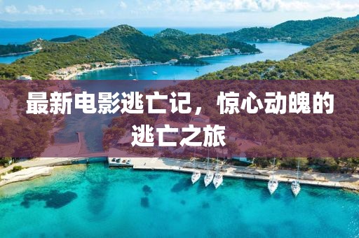 最新电影逃亡记，惊心动魄的逃亡之旅