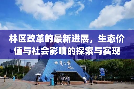 林区改革的最新进展，生态价值与社会影响的探索与实现
