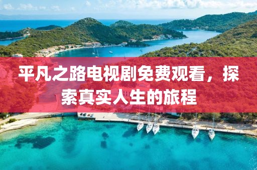 平凡之路电视剧免费观看，探索真实人生的旅程